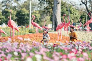 BIB: 
                            <button type="button" onclick="openModal(27344224)" class="btn btn-primary btn-sm float-right btn-popup" data-toggle="modal" data-target=".modal-high-quality">
                        <i class="fas fa-shopping-cart"></i> Add to Cart
                    </button>
                                            <button type="button" onclick="isThisMe(27344224, true)" class="btn btn-success btn-sm float-right btn-popup btn-isme hidden" data-toggle="tooltip" data-placement="bottom" title="นี่คือรูปของคุณใช่ไหม คลิกที่นี่เพื่อเอาเข้าอัลบั้ม">
                        <i class="fas fa-plus"></i> Add to album
                    </button>
                    <button type="button" onclick="isThisMe(27344224, false)" class="btn btn-warning btn-sm float-right btn-popup btn-isnotme hidden">
                        <i class="fas fa-ban"></i> Remove from album
                    </button>